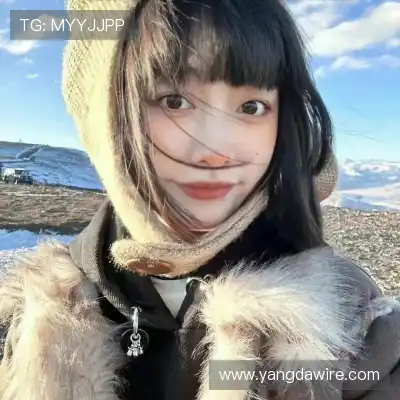 王秦准